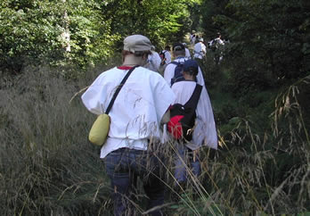 Templer im Wald