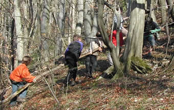 Kinder im Wald